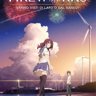 FIREWORKS - Vanno Visti di Lato o dal Basso? - Romanzo