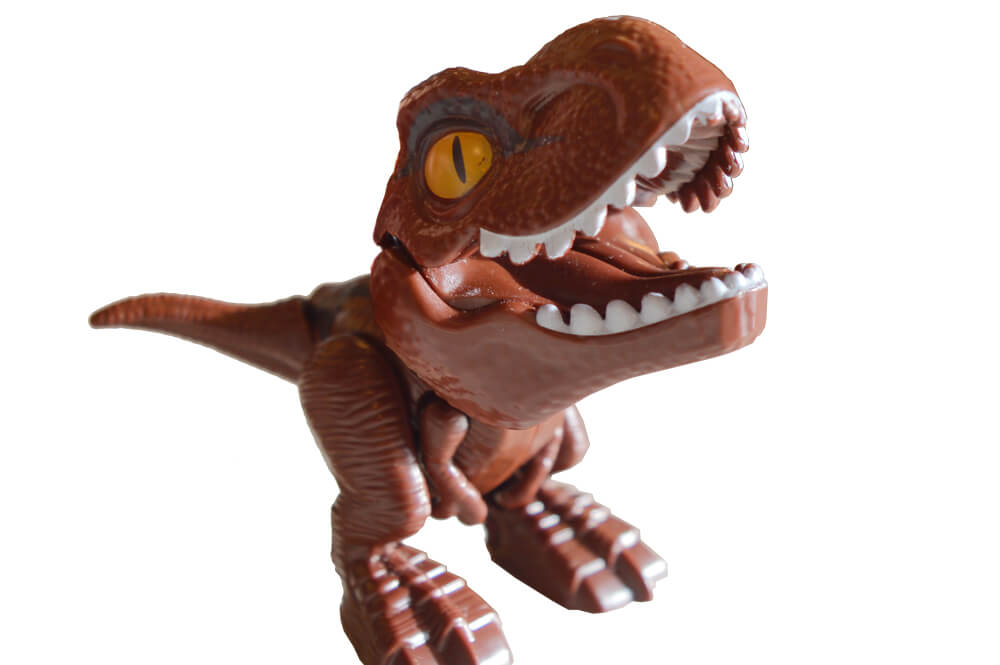 FEED-REX - immagine 4
