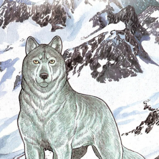 I CANI DEGLI DEI