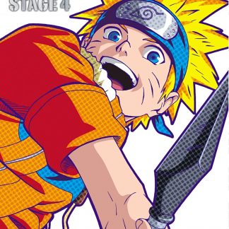 NARUTO - Stage 4 (8 DVD)