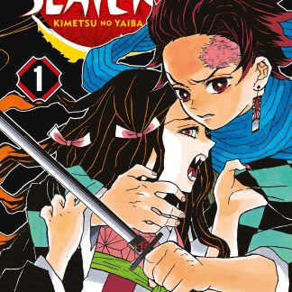 DEMON SLAYER - KIMETSU NO YAIBA n. 1