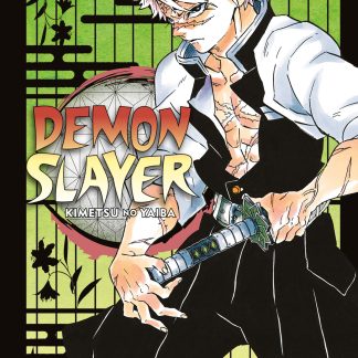 DEMON SLAYER - KIMETSU NO YAIBA n. 17
