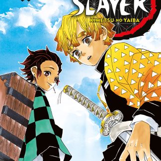 DEMON SLAYER - KIMETSU NO YAIBA n. 3