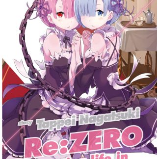 Re:ZERO - STARTING LIFE IN ANOTHER WORLD 2