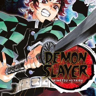 DEMON SLAYER - KIMETSU NO YAIBA n. 10