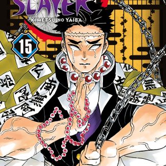 DEMON SLAYER - KIMETSU NO YAIBA n. 15