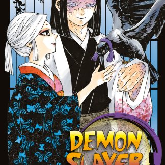 DEMON SLAYER - KIMETSU NO YAIBA n. 16