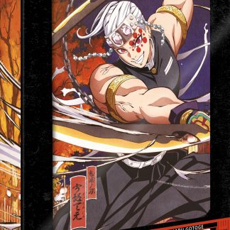 DEMON SLAYER - Limited Edition - Box 4 - Il quartiere di piacere (Eps.01-11) (3 DVD)