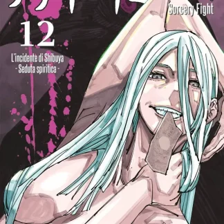 JUJUTSU KAISEN - SORCERY FIGHT 12