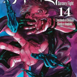 JUJUTSU KAISEN - SORCERY FIGHT 14