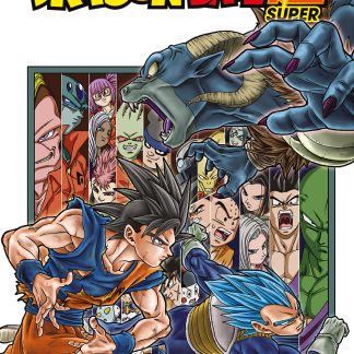 DRAGON BALL SUPER n. 13