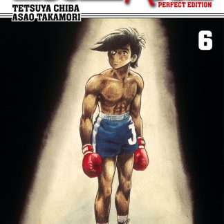 ROCKY JOE PERFECT EDITION n. 6