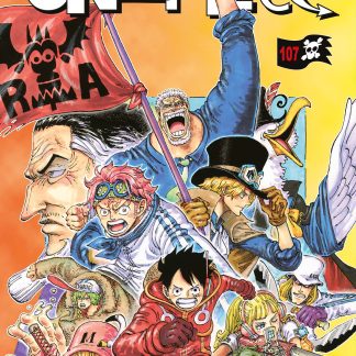 ONE PIECE n. 107