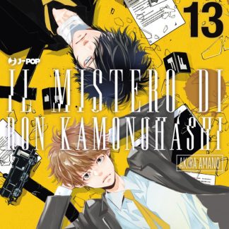 IL MISTERO DI RON KAMONOHASHI 13