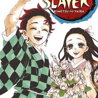 DEMON SLAYER - KIMETSU NO YAIBA n. 23