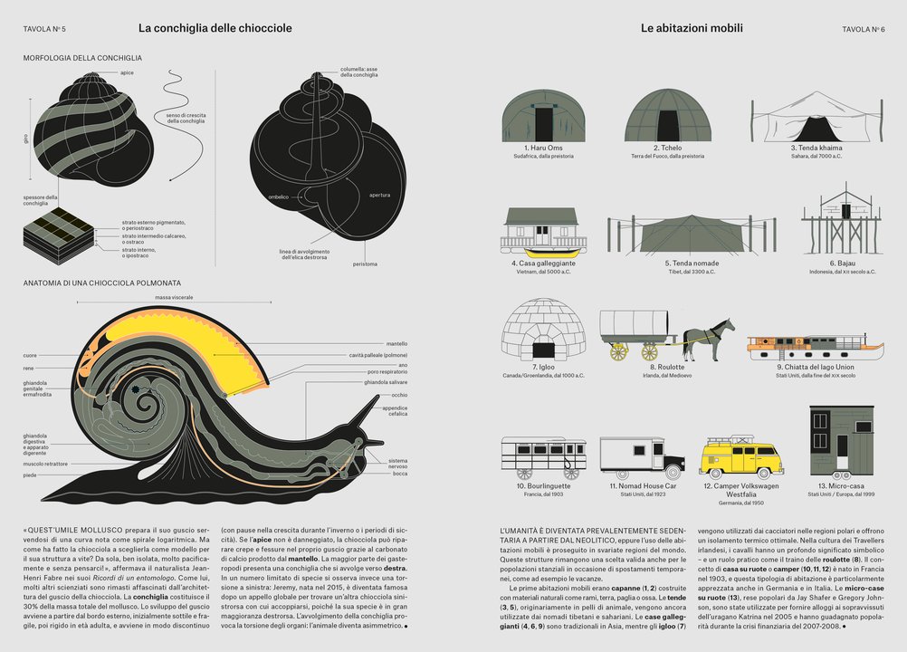 FENOMENI: Dall’impollinazione all’origine delle comete in 124 tavole illustrate - immagine 2