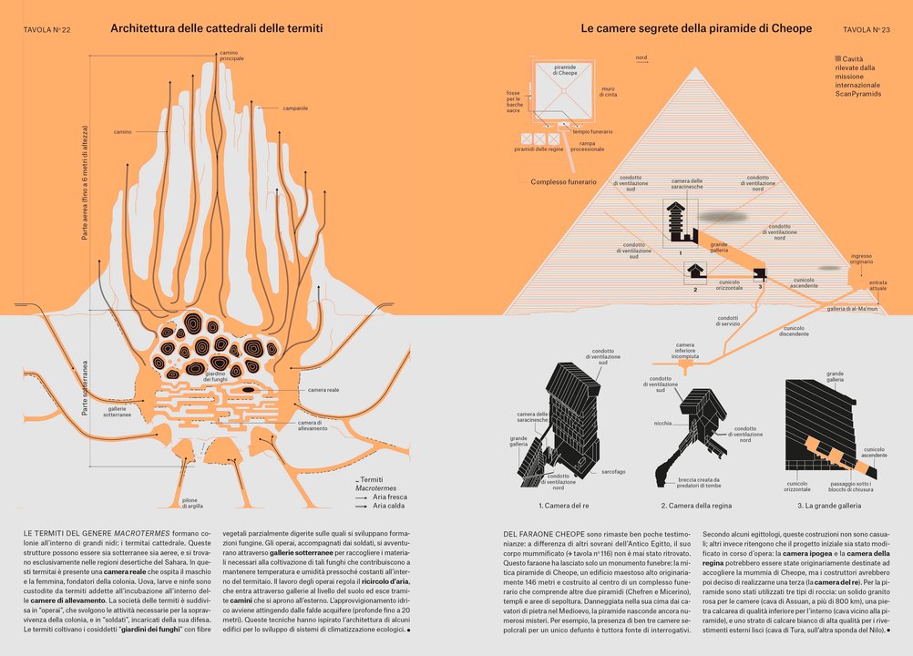 FENOMENI: Dall’impollinazione all’origine delle comete in 124 tavole illustrate - immagine 3