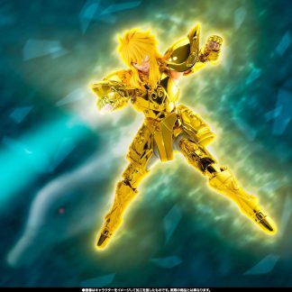 SAINT SEIYA: AQUARIUS HYOGA SAINT CLOTH MYTH EX INHERITOR OF THE GOLD CLOTH