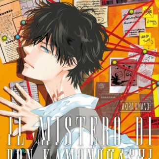 IL MISTERO DI RON KAMONOHASHI 16