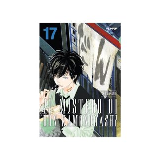 IL MISTERO DI RON KAMONOHASHI 17