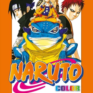 NARUTO COLOR NEW EDITION 13